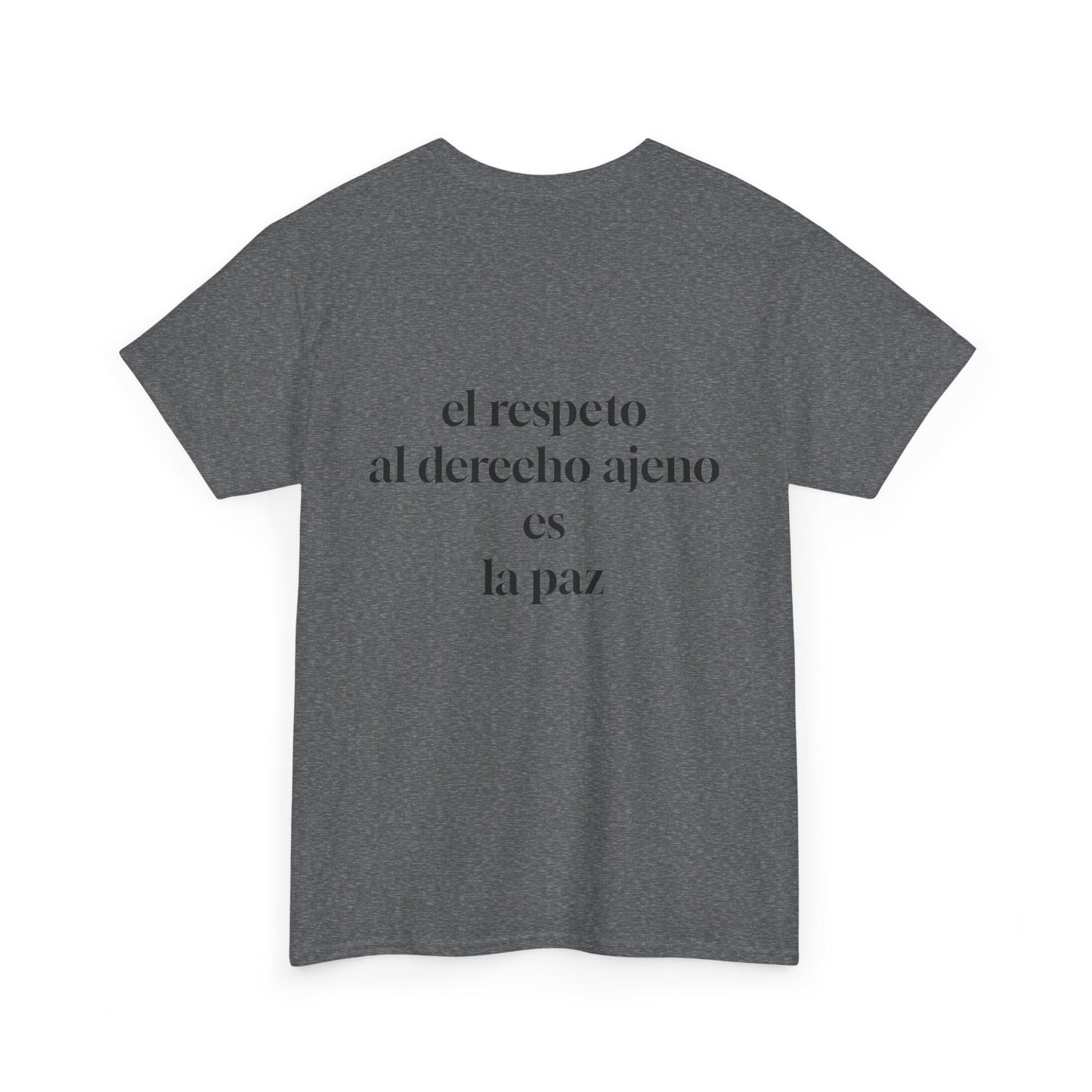 Musical Peace Tee, Unisex Heavy Cotton Shirt for Music Lovers, Gift for Musicians, Inspirational T-Shirt, Casual Everyday Wear