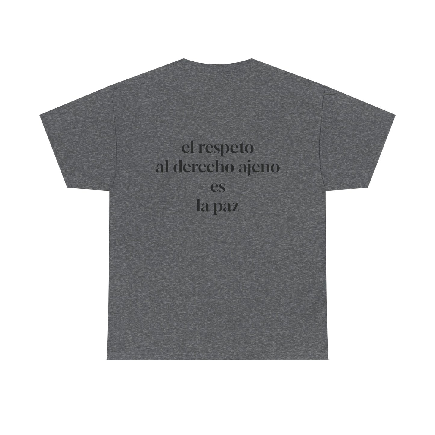 Musical Peace Tee, Unisex Heavy Cotton Shirt for Music Lovers, Gift for Musicians, Inspirational T-Shirt, Casual Everyday Wear