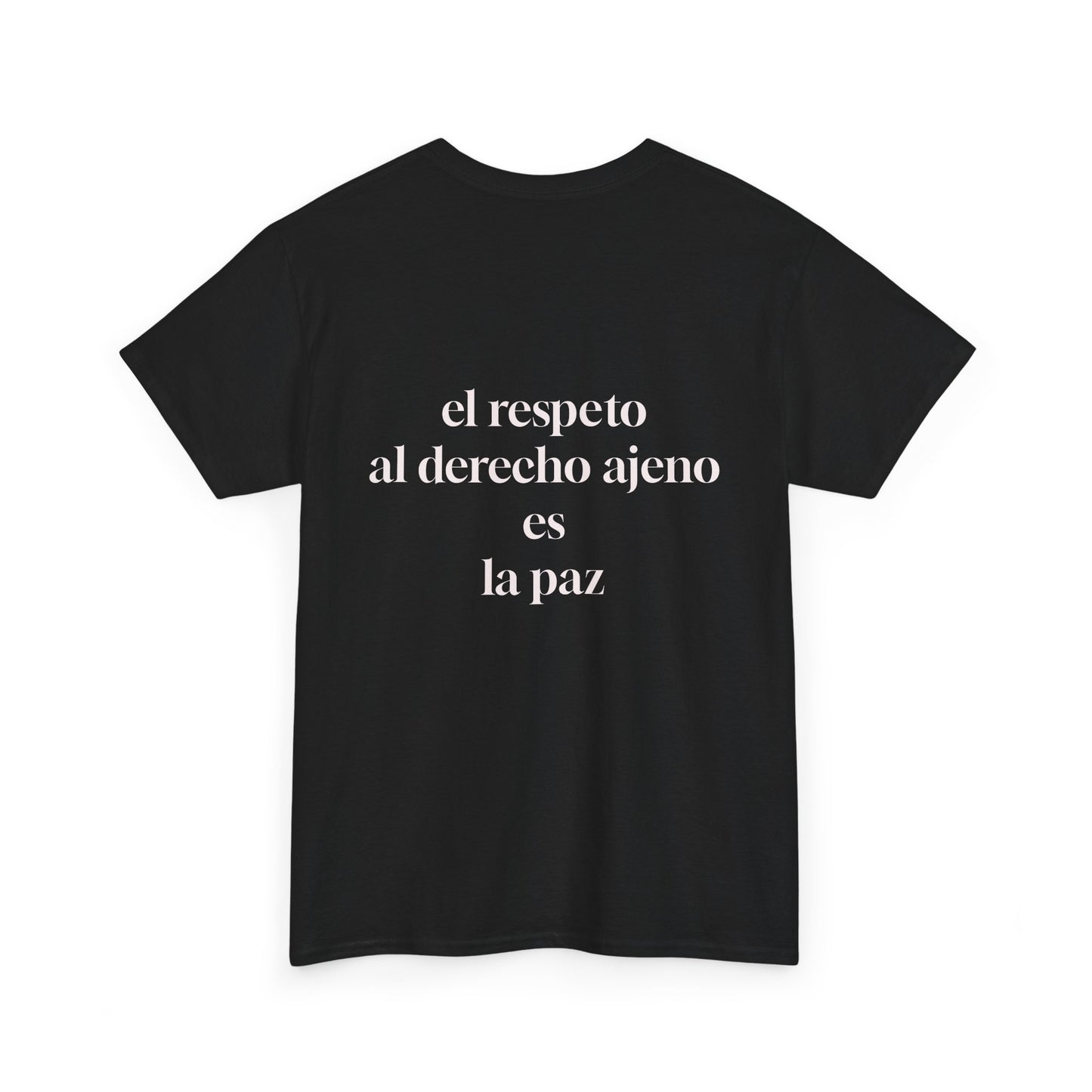 Musical Peace Tee, Unisex Heavy Cotton Shirt for Music Lovers, Gift for Musicians, Inspirational T-Shirt, Casual Everyday Wear