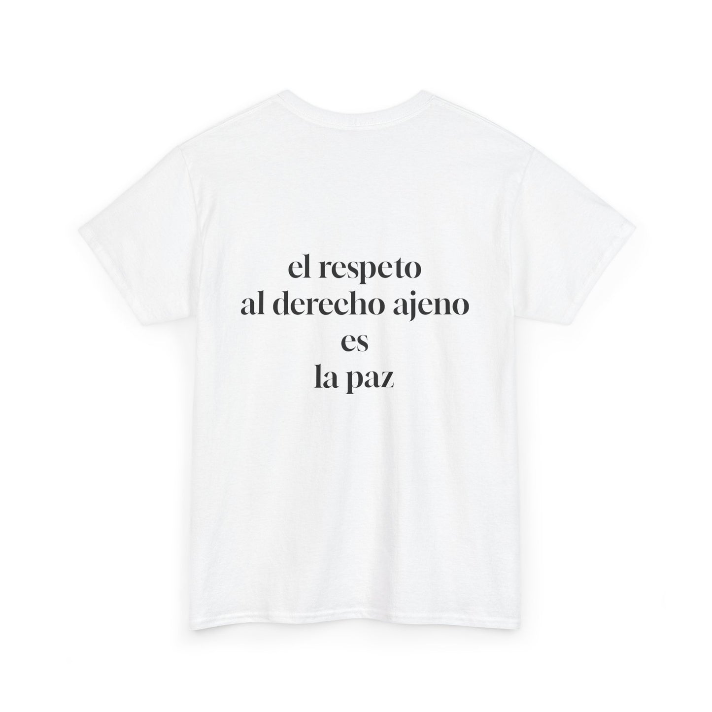 Musical Peace Tee, Unisex Heavy Cotton Shirt for Music Lovers, Gift for Musicians, Inspirational T-Shirt, Casual Everyday Wear