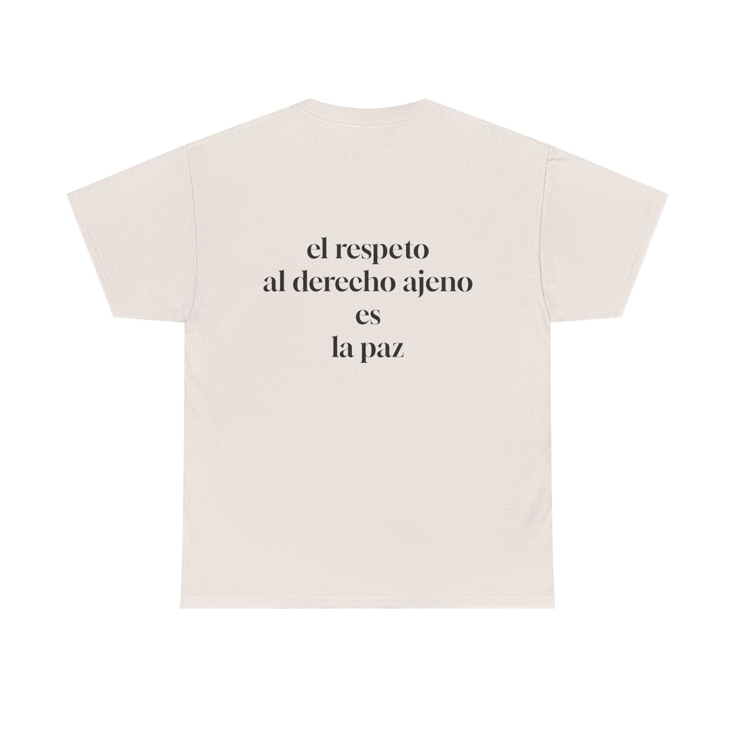 Musical Peace Tee, Unisex Heavy Cotton Shirt for Music Lovers, Gift for Musicians, Inspirational T-Shirt, Casual Everyday Wear